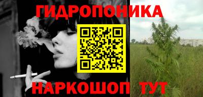 шишки Гусь-Хрустальный