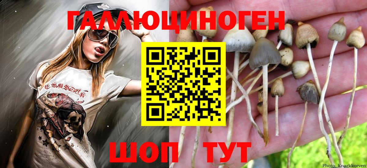Псилоцибиновые грибы Psilocybe  Вход с VPN  Якутск  Галлюциногенные грибы Psilocybine cubensis 